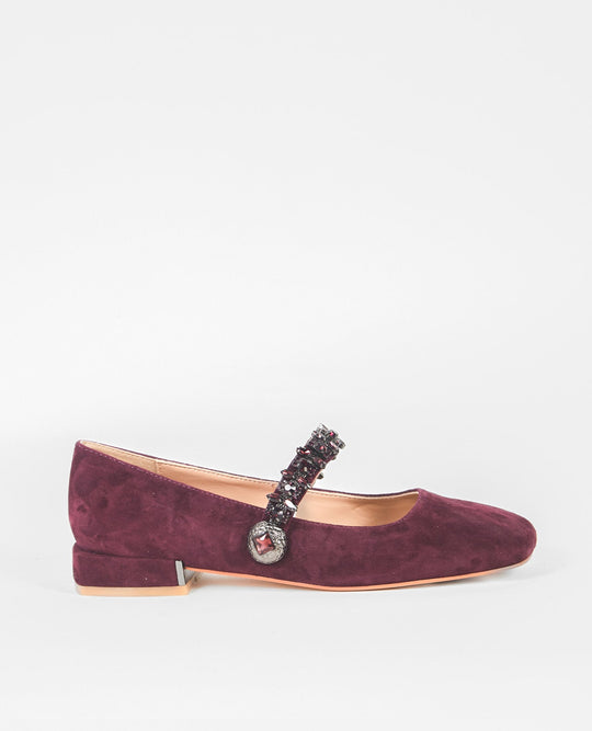 ZAPATO PLANO TIRA JOYA