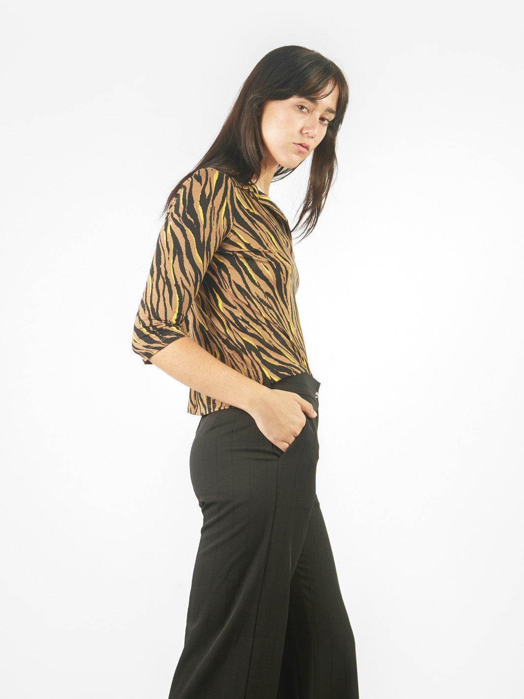 Imagen de diapositiva